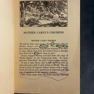 Mother Carey's Chickens by Kate Douglas Wiggin 1930 Houghton Mifflin Company Edition Good Hardcover image 6