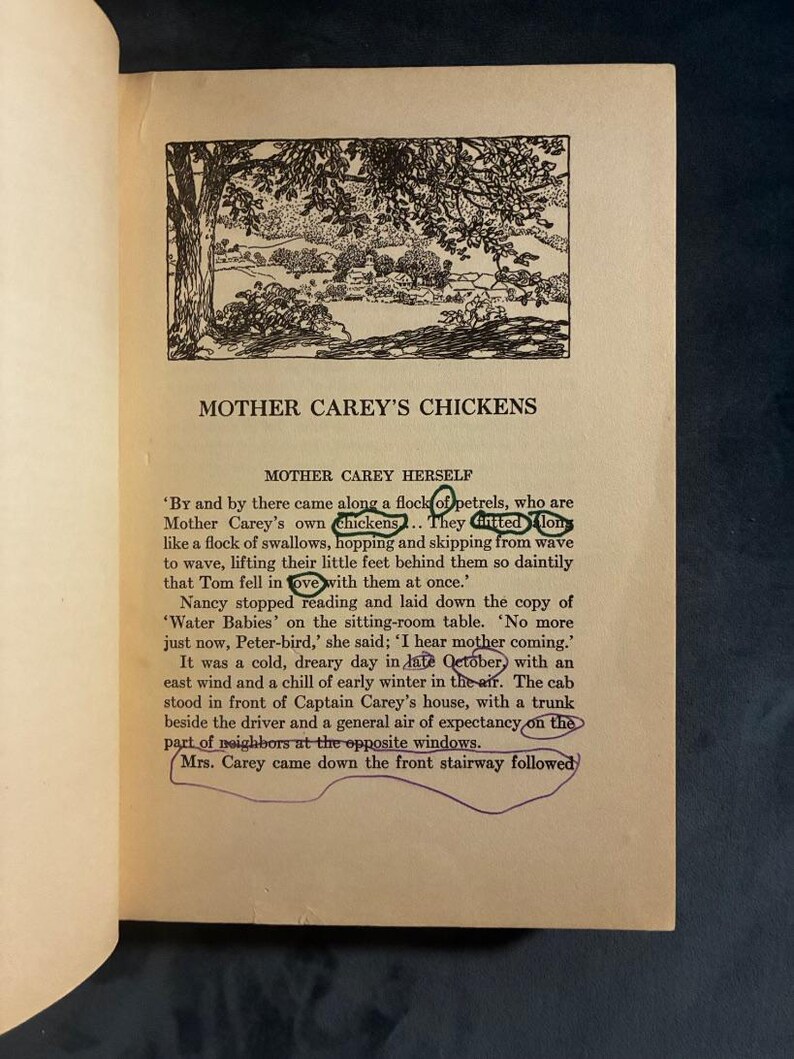 Mother Carey's Chickens by Kate Douglas Wiggin 1930 Houghton Mifflin Company Edition Good Hardcover image 6