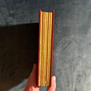 Bajo otro sol, de Ernst Lothar, 1943, Doubleday, edición Doran. Muy buen estado. imagen 9