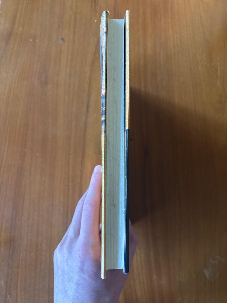 De geest in balans: meditatie, boeddhisme en christendom. Hardcover. B. Alan Wallace. Eerste editie. afbeelding 8