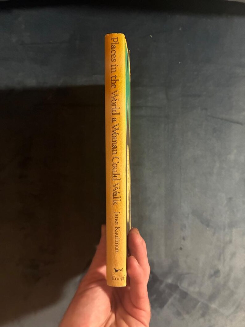 Orte auf der Welt, die eine Frau begehen könnte von Janet Kauffman, 1984, Erste Auflage, Zweiter Druck, Nahezu neuwertig/Sehr gut, Hardcover. Bild 8