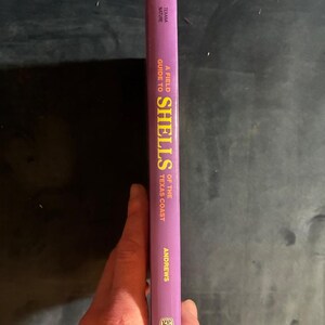 Guida da campo alle conchiglie della costa del Texas di Jean Andrews 1992 Prima edizione Prima stampa Quasi perfetto Copertina rigida immagine 4