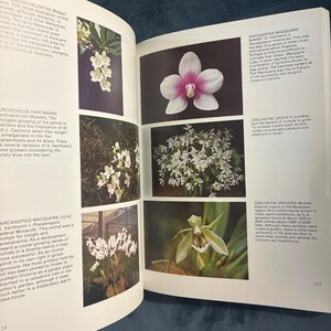 Growing Orchids, Book Three by J. N. Rentoul First Edition image 5