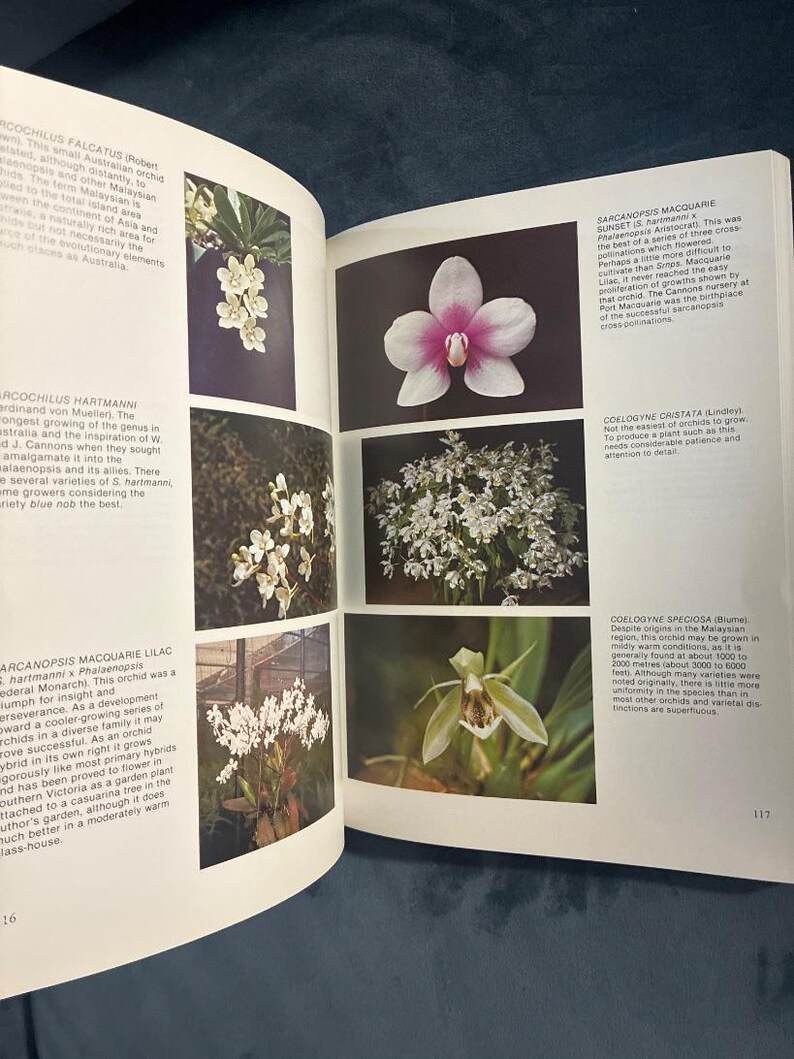 Growing Orchids, Book Three by J. N. Rentoul First Edition image 5