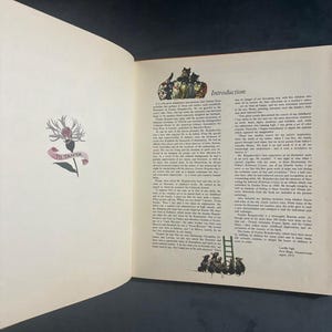 Rojankovsky's Wonderful Picture Book by Feodor Rojankovsky (illustrator); edited by Nina Rojankovsky 1972 First Edition First Printing image 8