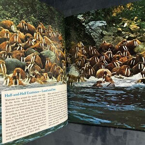 The Ocean World of Jacques Cousteau, Volume 1: Oasis in Space by Jacques Cousteau The Danbury Press Edition Very Good image 5