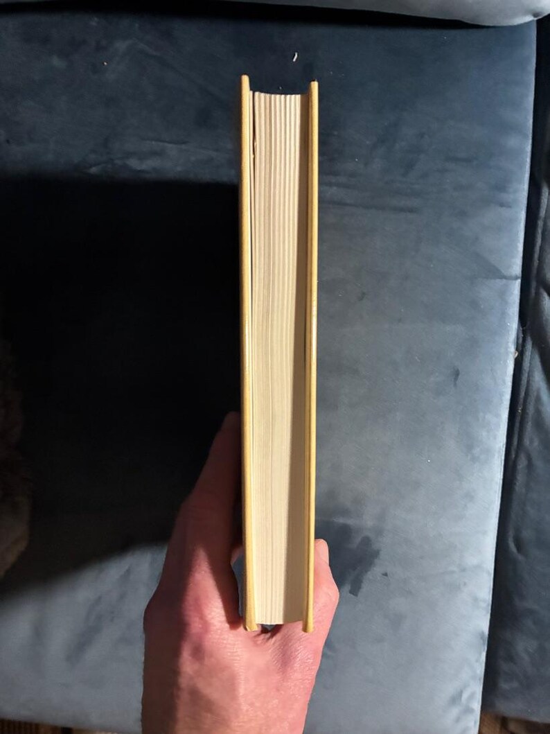 Vuur langs de hemel door Robert Moss, 1992, eerste editie, eerste druk, in uitstekende/bijna perfecte staat. afbeelding 7