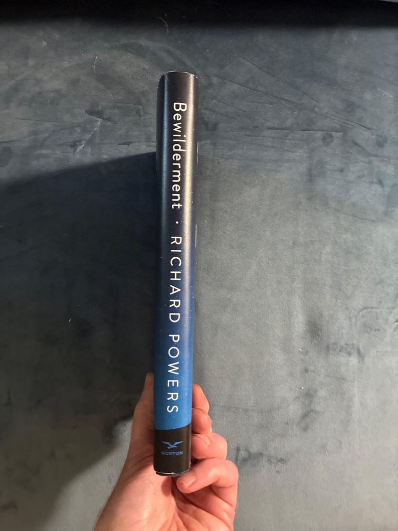 Verwarring door Richard Powers Eerste editie Eerste druk In uitstekende/bijna uitstekende staat Hardcover afbeelding 6