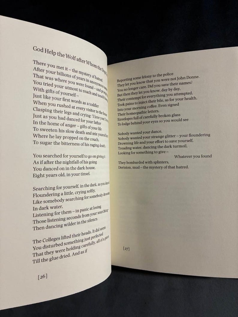 Birthday Letters by Ted Hughes First Edition First Printing Fine/Near Fine Hardcover image 7
