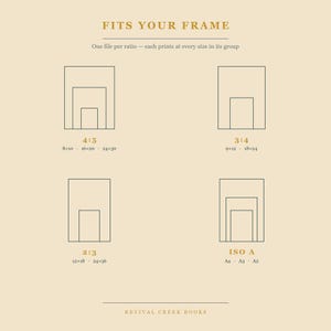May include: A beige informational chart titled FITS YOUR FRAME with gold text. It displays four sets of nested rectangular outlines representing aspect ratios 4:5, 3:4, 2:3, and ISO A, with corresponding imperial dimensions in inches listed below each.