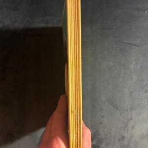 Orte auf der Welt, die eine Frau begehen könnte von Janet Kauffman, 1984, Erste Auflage, Zweiter Druck, Nahezu neuwertig/Sehr gut, Hardcover. Bild 9