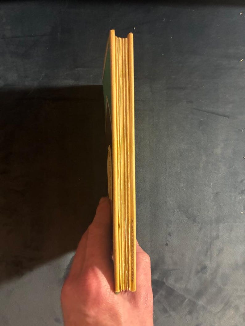 Orte auf der Welt, die eine Frau begehen könnte von Janet Kauffman, 1984, Erste Auflage, Zweiter Druck, Nahezu neuwertig/Sehr gut, Hardcover. Bild 9