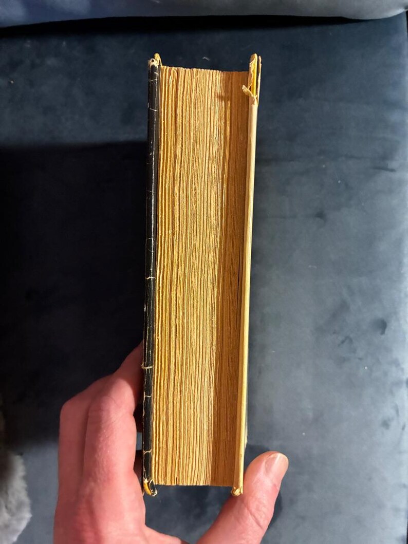 The Lost Legion by H. Warner Munn 1980 First Edition First Printing Very Good/Good image 7