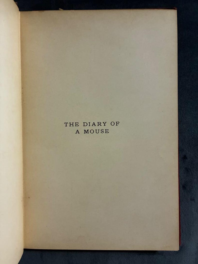 The Diary of a Mouse by Edith Dunham 1907 First Edition Good Hardcover image 5