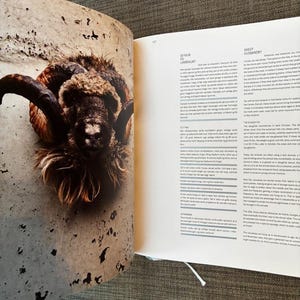 KOKS by Bent Christensen 2012 First Edition First Printing Near Fine Hardcover image 8