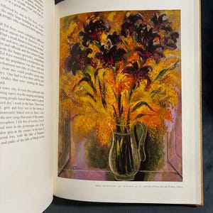 Rubin: My Life, My Art by Reuven Rubin 1974 First Edition Very Good Hardcover image 9