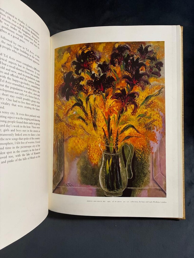 Rubin: My Life, My Art by Reuven Rubin 1974 First Edition Very Good Hardcover image 9