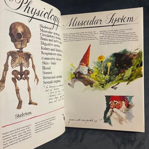 Gnomos de Wil Huygen; ilustrado por Rien Poortvliet 1977 Primera edición Reimpresión Casi perfecto/Casi perfecto imagen 4