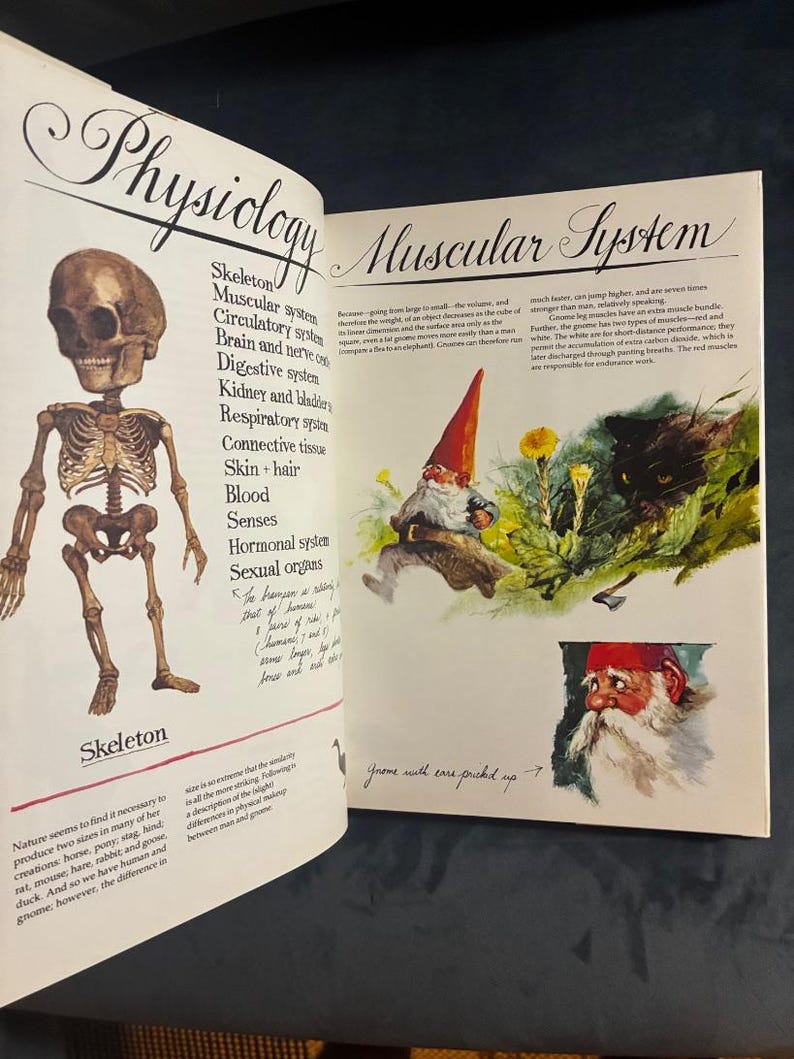 Gnomos de Wil Huygen; ilustrado por Rien Poortvliet 1977 Primera edición Reimpresión Casi perfecto/Casi perfecto imagen 4