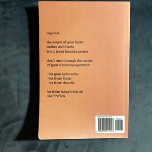 Remedy by John Roedel First Edition Near Fine Paperback image 7