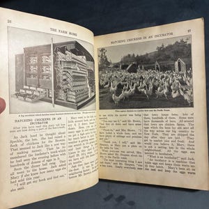 Home Folks: A Geography for Beginners by J. Russell Smith 1927 First Edition Good Hardcover image 5