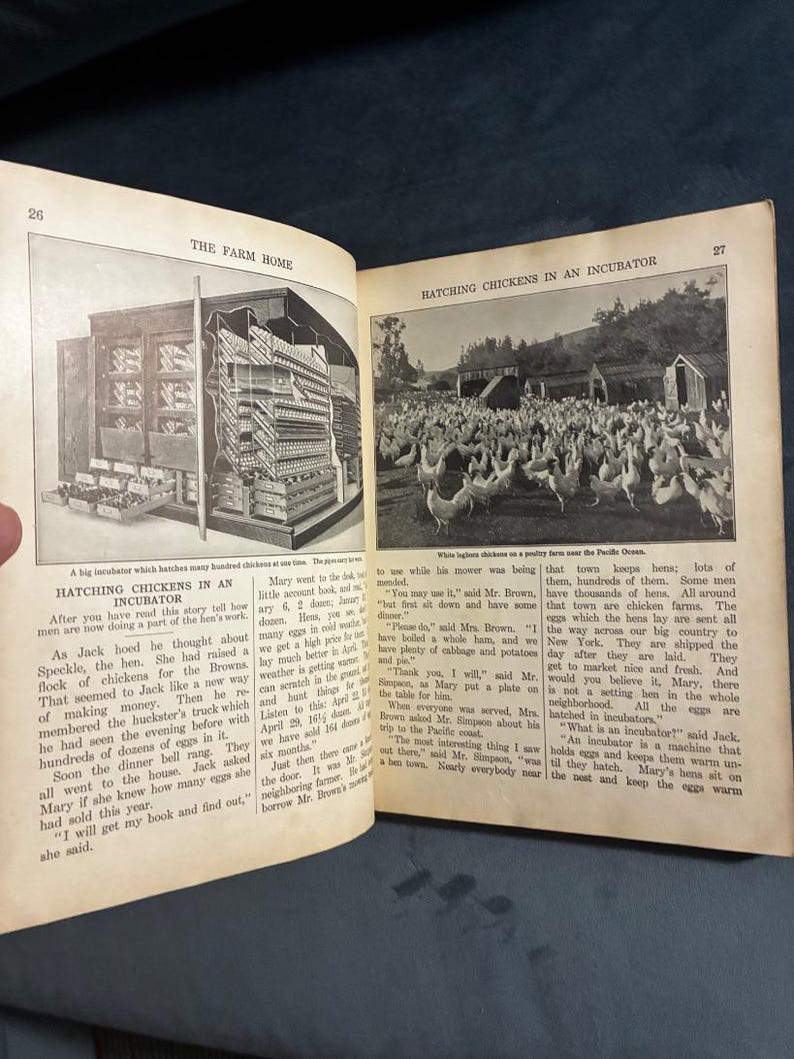 Home Folks: A Geography for Beginners by J. Russell Smith 1927 First Edition Good Hardcover image 5