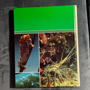 The Ocean World of Jacques Cousteau, Volume 1: Oasis in Space by Jacques Cousteau The Danbury Press Edition Very Good image 7