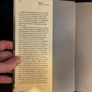 Vineland van Thomas Pynchon, 1990, eerste editie, eerste druk, in uitstekende/bijna perfecte staat, hardcover. afbeelding 2