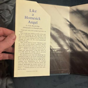 Like a Homesick Angel by John Bainbridge 1964 First Edition First Printing Very Good/Good Hardcover image 2