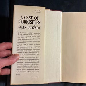 Ein Fall voller Kuriositäten von Allen Kurzweil, 1992, Erstausgabe, erster Druck, Nahezu neuwertig/Sehr gut Bild 2