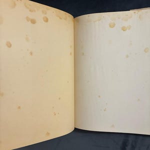 Max Ernst von Sarane Alexandrian: Erste Ausgabe, Hardcover (1972) Bild 9