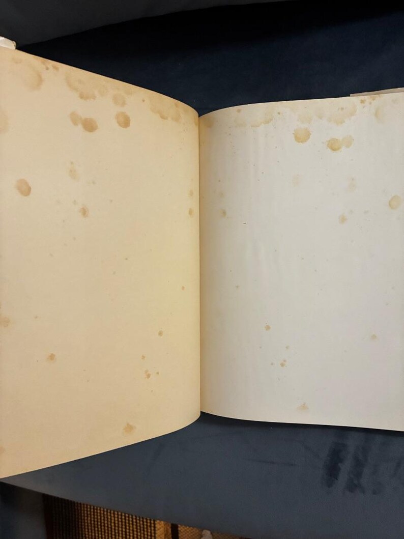 Max Ernst von Sarane Alexandrian: Erste Ausgabe, Hardcover (1972) Bild 9