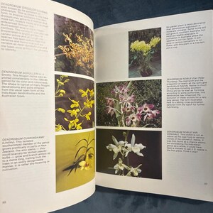 Growing Orchids, Book Three by J. N. Rentoul First Edition image 6