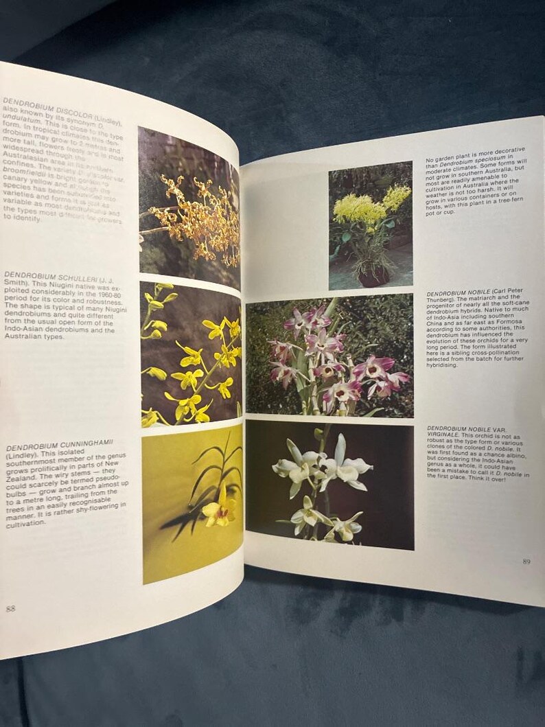 Growing Orchids, Book Three by J. N. Rentoul First Edition image 6