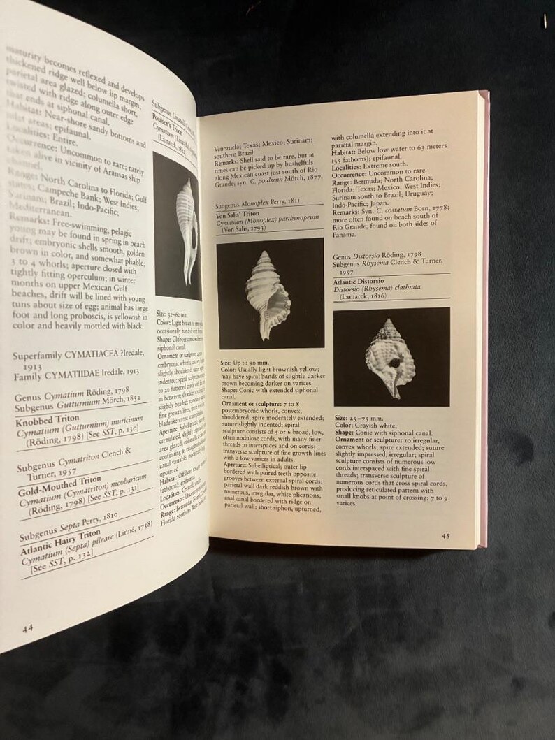 Guida da campo alle conchiglie della costa del Texas di Jean Andrews 1992 Prima edizione Prima stampa Quasi perfetto Copertina rigida immagine 6