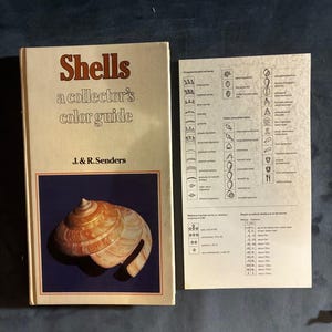 Shells: a collector's color guide by J. & R. Senders 1984 First Edition First Printing Very Good/Good Hardcover image 1