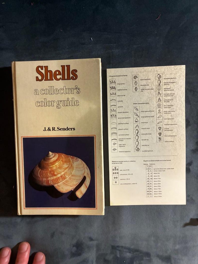 Shells: a collector's color guide by J. & R. Senders 1984 First Edition First Printing Very Good/Good Hardcover image 1