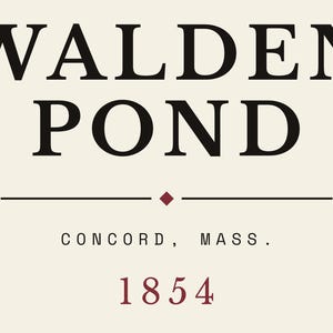 Stendardo letterario di Walden Pond / Stendardo da parete di Concord, Massachusetts / Decorazione per amanti dei libri ispirata a Thoreau immagine 10