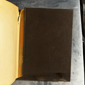 The Lionheads by Josiah Bunting 1972 First Edition 4th Printing Near Fine/Good Hardcover image 9