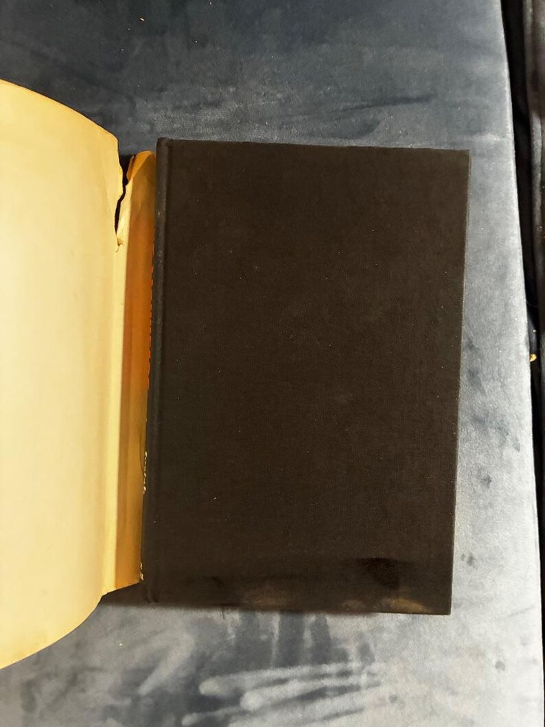 The Lionheads by Josiah Bunting 1972 First Edition 4th Printing Near Fine/Good Hardcover image 9