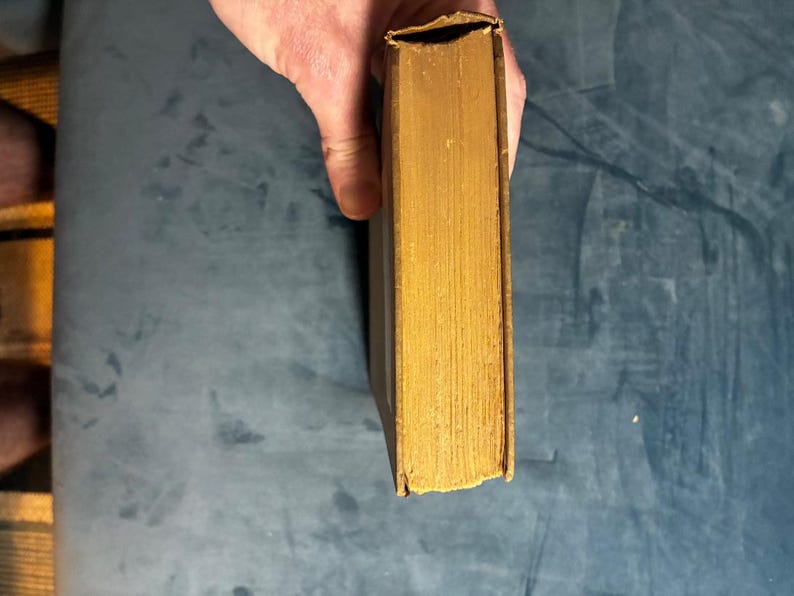 Bloemlezing van tijdschriftgedichten 1916: Braithwaite Poetry Yearbook, tweede editie, hardcover afbeelding 9