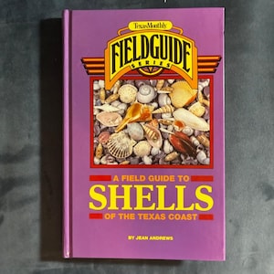 Guida da campo alle conchiglie della costa del Texas di Jean Andrews 1992 Prima edizione Prima stampa Quasi perfetto Copertina rigida immagine 1