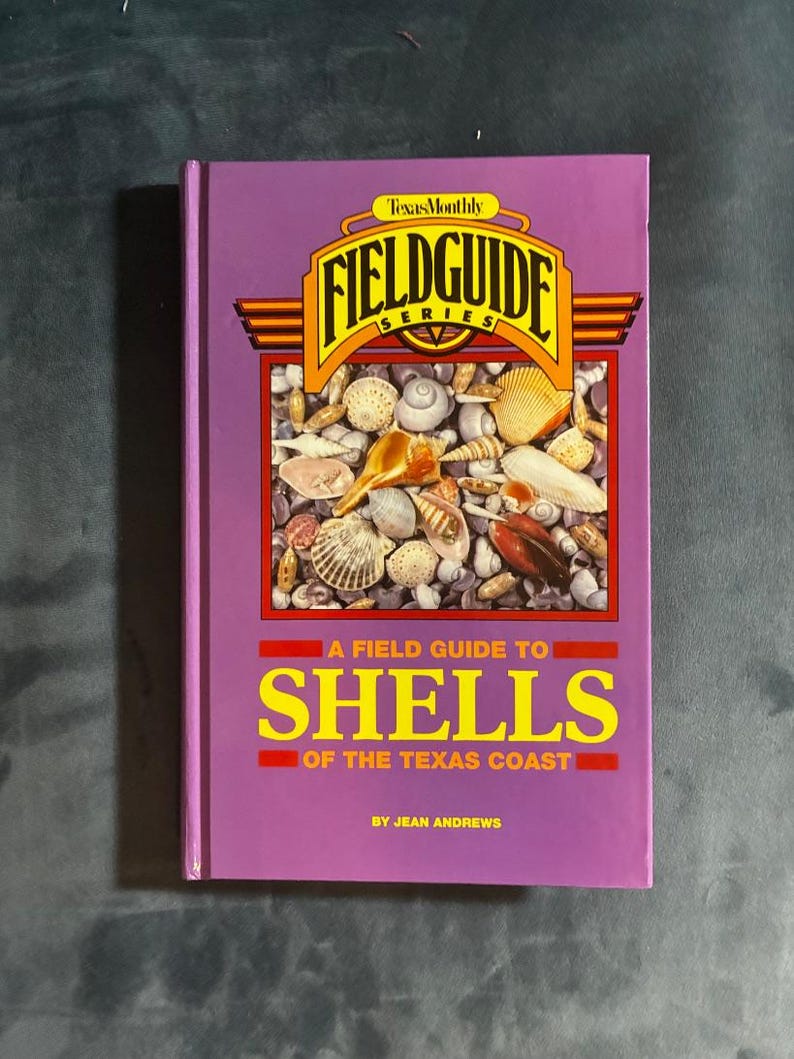 Guida da campo alle conchiglie della costa del Texas di Jean Andrews 1992 Prima edizione Prima stampa Quasi perfetto Copertina rigida immagine 1