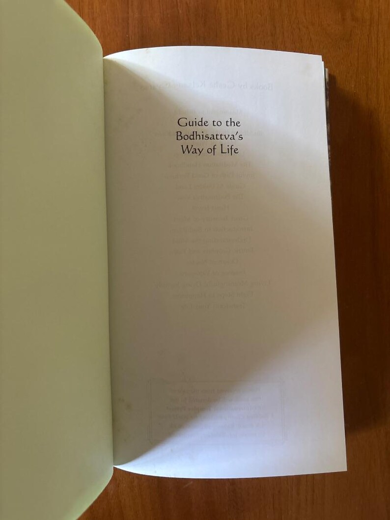 Guía del Camino del Bodhisattva por Shantideva Primera Edición Tapa dura en excelente estado imagen 5