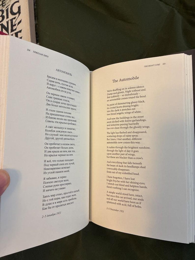 Vladislav Khodasevich Ausgewählte Gedichte Erste Ausgabe Zweisprachig Hardcover Bild 6