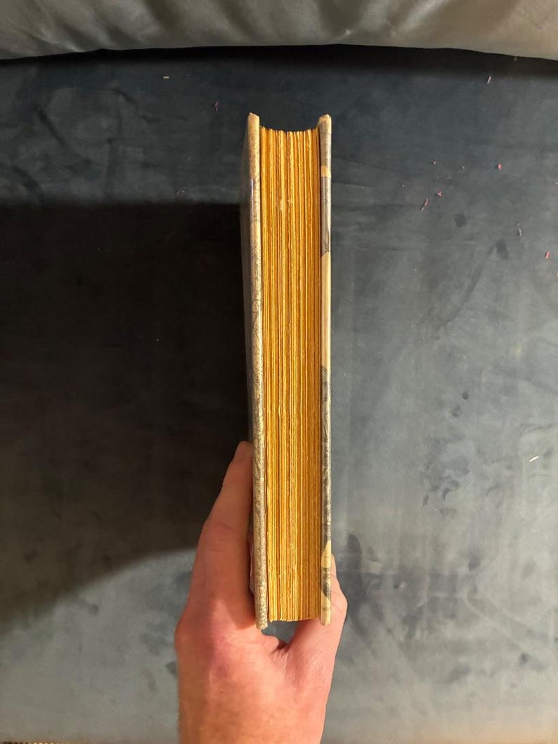 Der Indianer des Königs: Geschichten und Erzählungen von John Gardner, 1974, Erste Auflage, erster Druck, Nahezu neuwertig/Sehr gut Bild 8