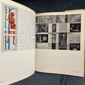 Max Ernst von Sarane Alexandrian: Erste Ausgabe, Hardcover (1972) Bild 6