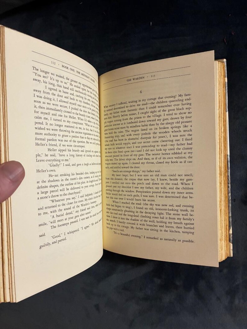 Der Indianer des Königs: Geschichten und Erzählungen von John Gardner, 1974, Erste Auflage, erster Druck, Nahezu neuwertig/Sehr gut Bild 4