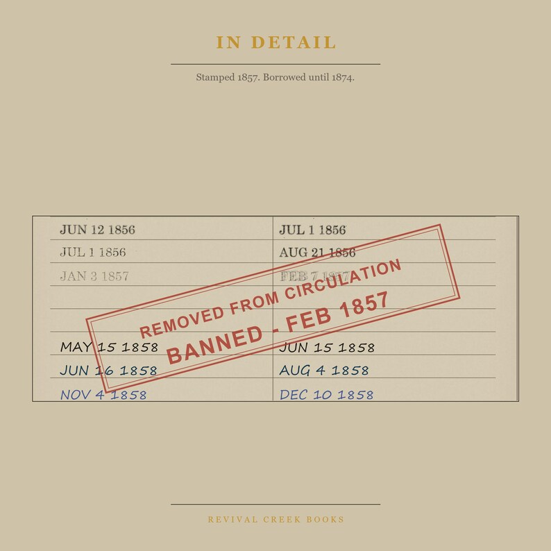 Madame Bovary Banned Book Digital Poster | Gustave Flaubert Library Card Print | French Literature Art image 7