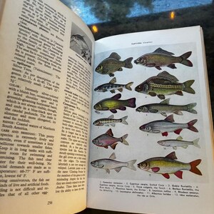 Illustrated Dictionary of Tropical Fishes by Hans Frey T.F.H. Publications, Jersey City, N.J. Edition Very Good/No jacket Hardcover image 3